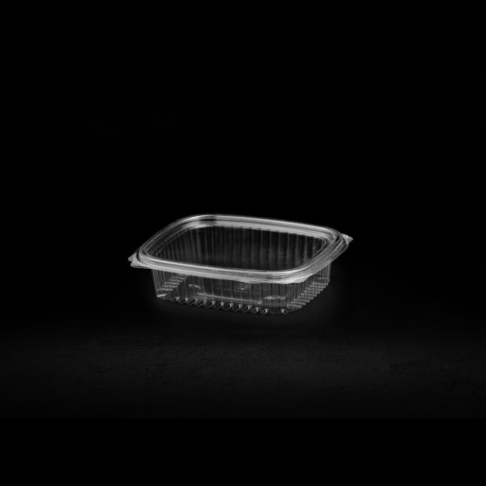 Rektangulär Salladsförpackning Liten 250cc